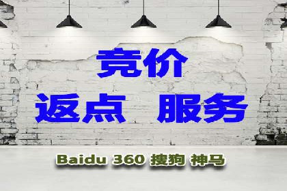 竞价广告投放技巧与案例分析